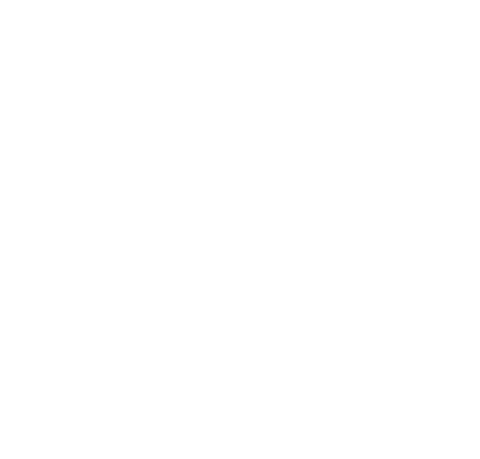 MEI3RADL_Logodesign-weiss_web